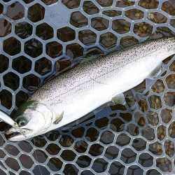 何かを掴めたのかな ～フィッシングパーク高…